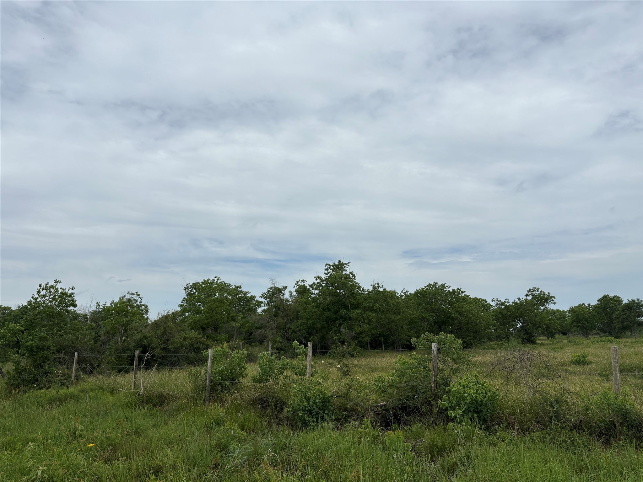 Tract 5 Brumbelow Road Property Photo 4