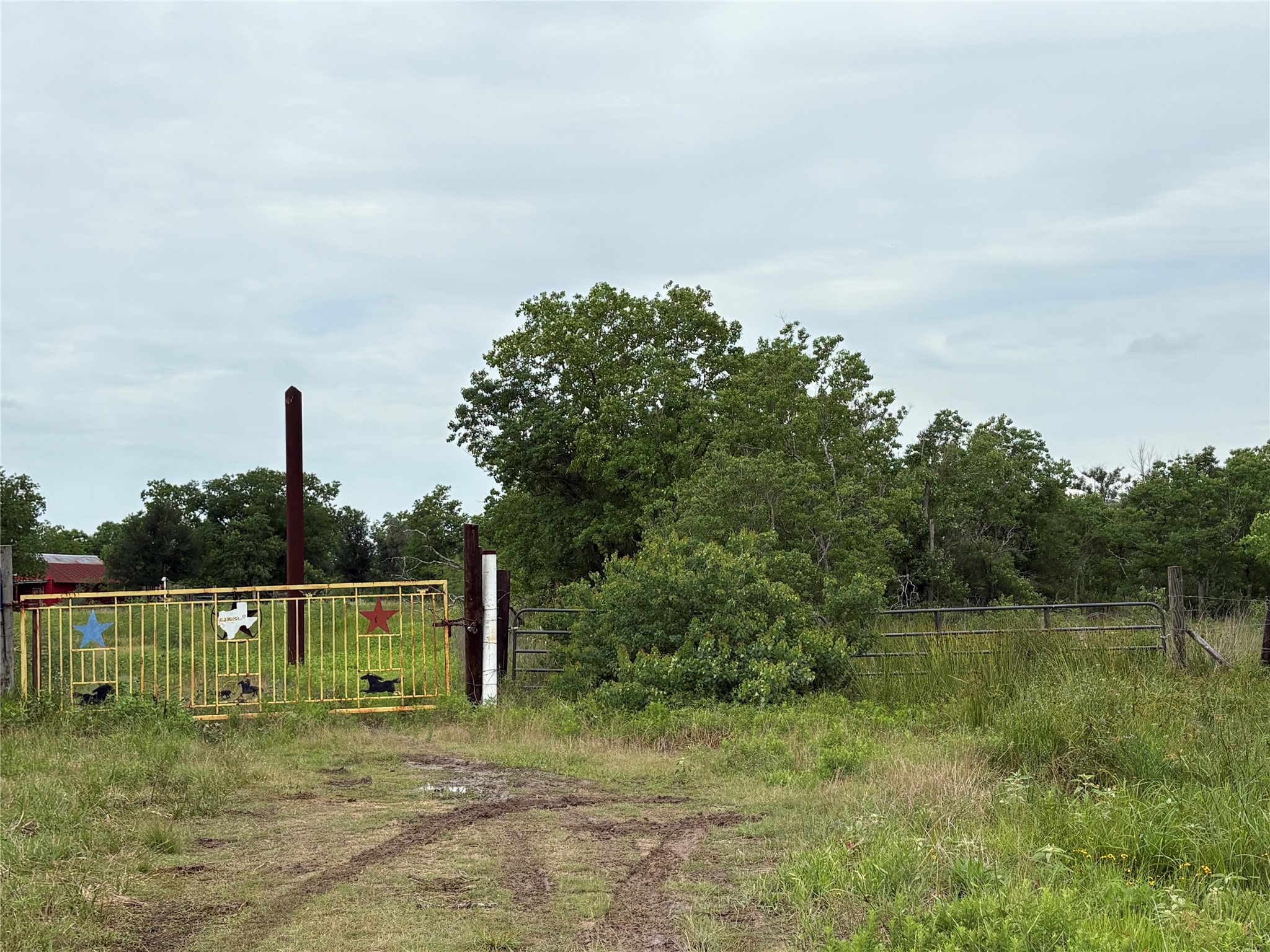 Tract 5 Brumbelow Road Property Photo 8