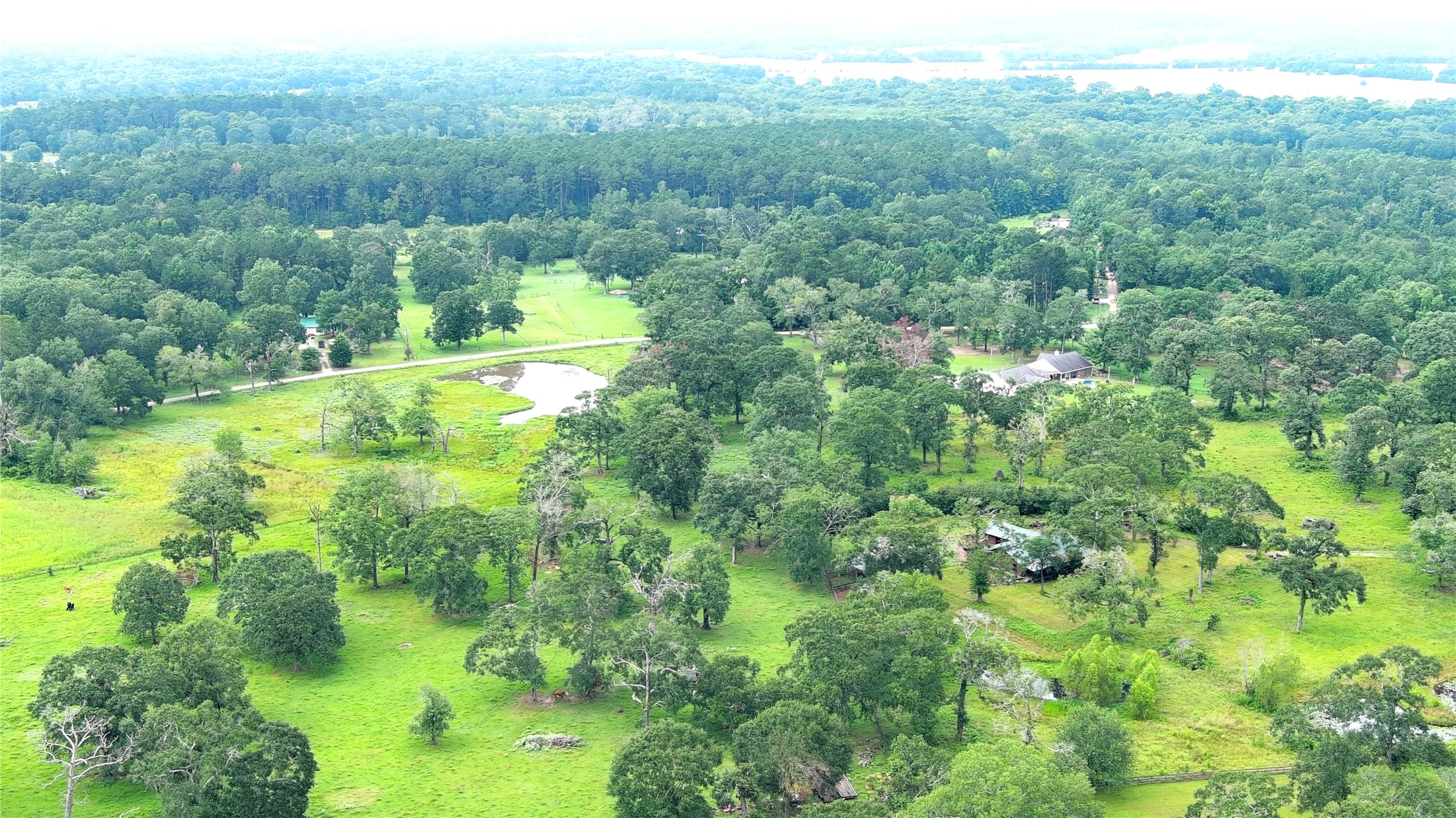 100 E Hill Ranch Lane Property Photo 4