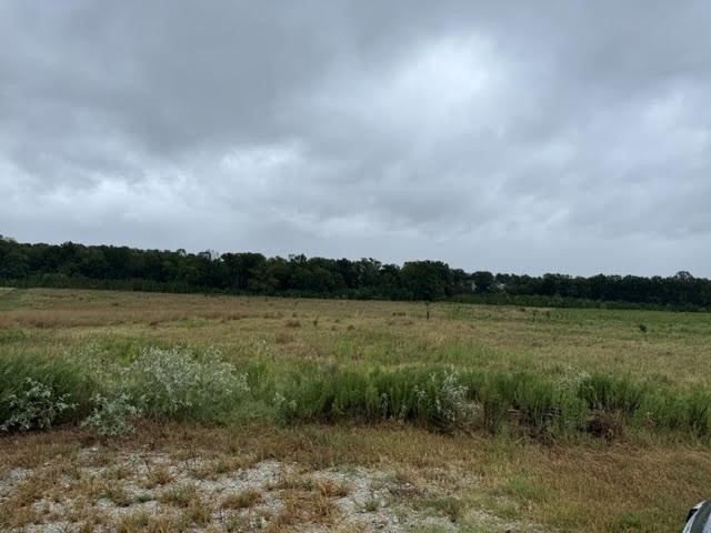 Lot 20 Clearlake Lane Property Photo 3