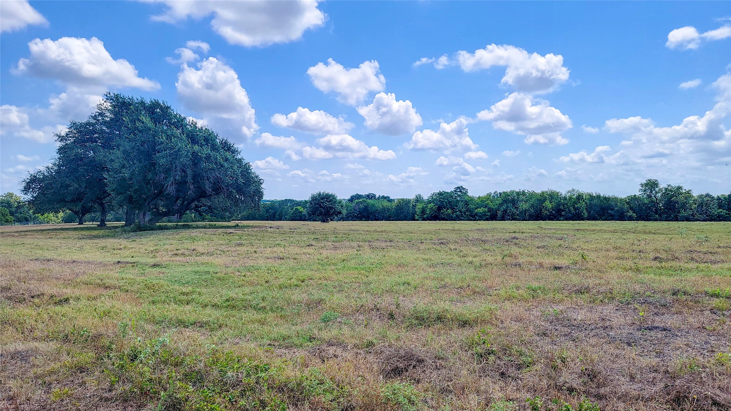 12144 Zetter Road Property Photo 15