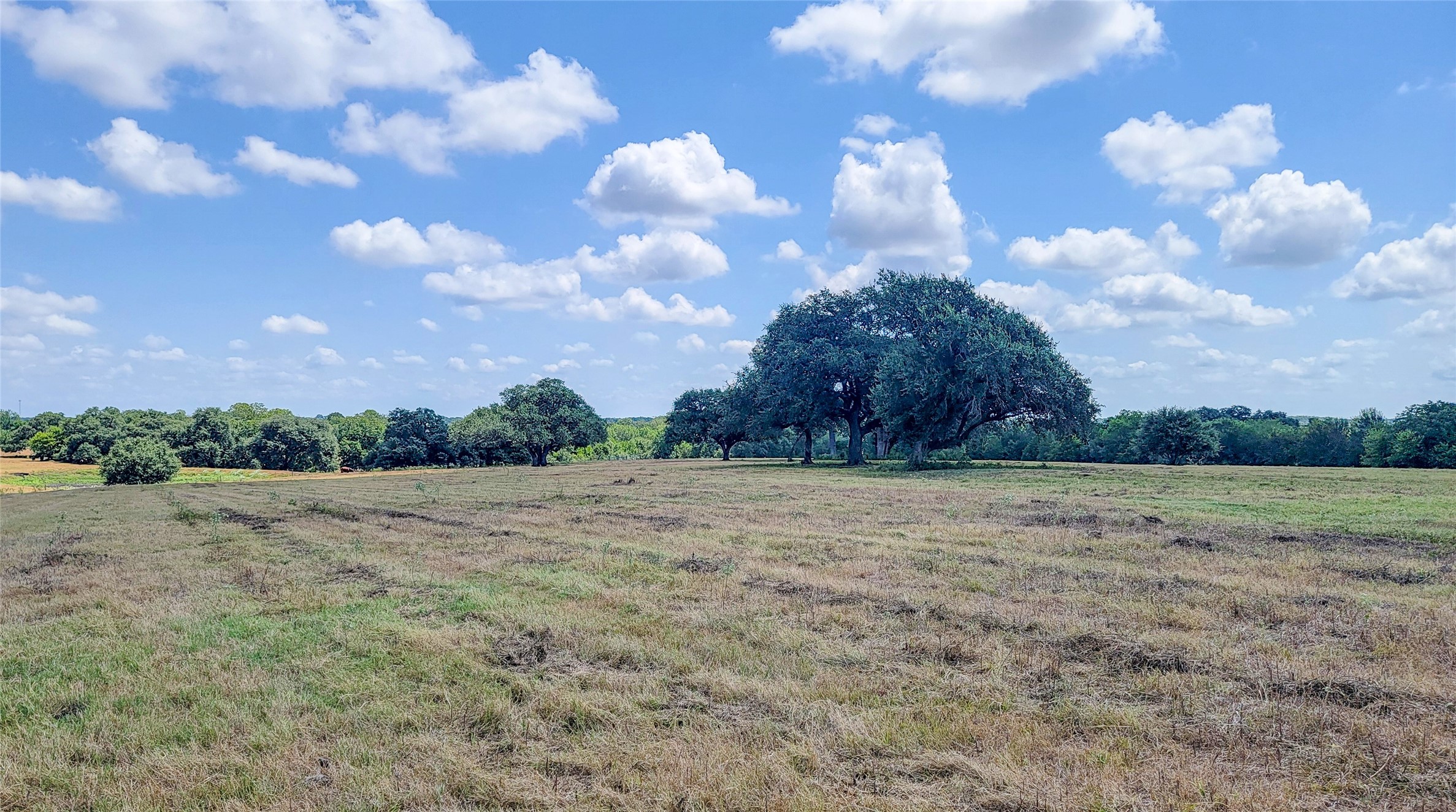 Tract 3 Zetter Road Property Photo 7