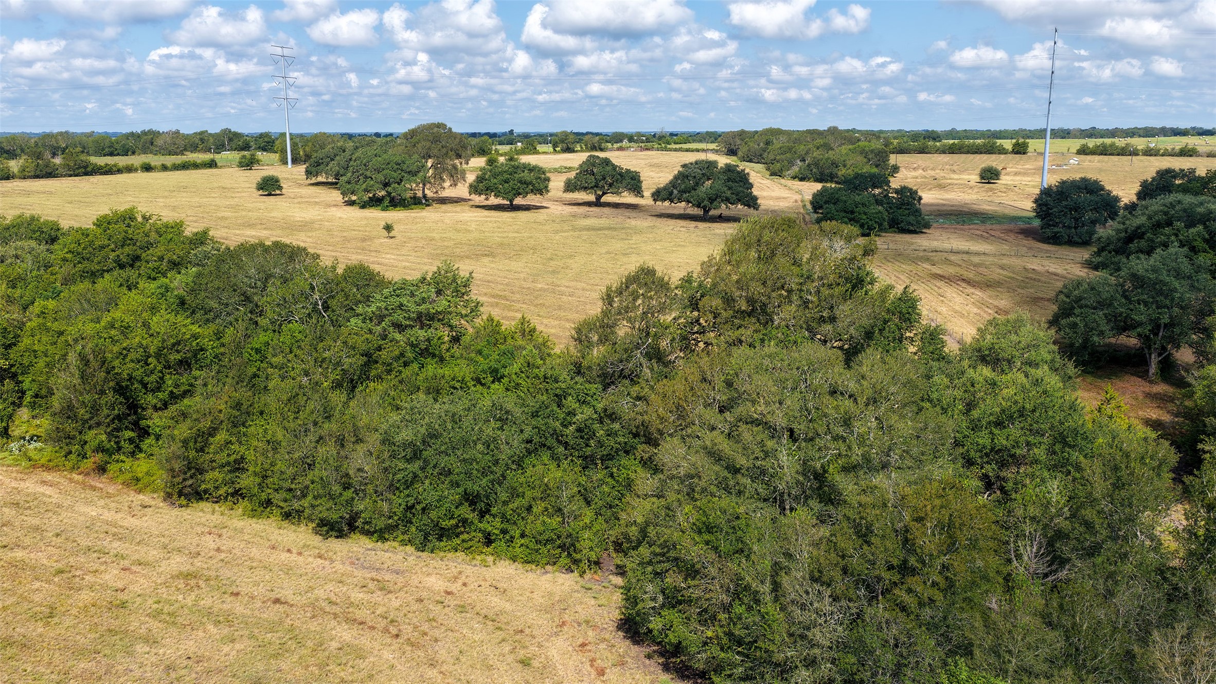 Tract 3 Zetter Road Property Photo 8