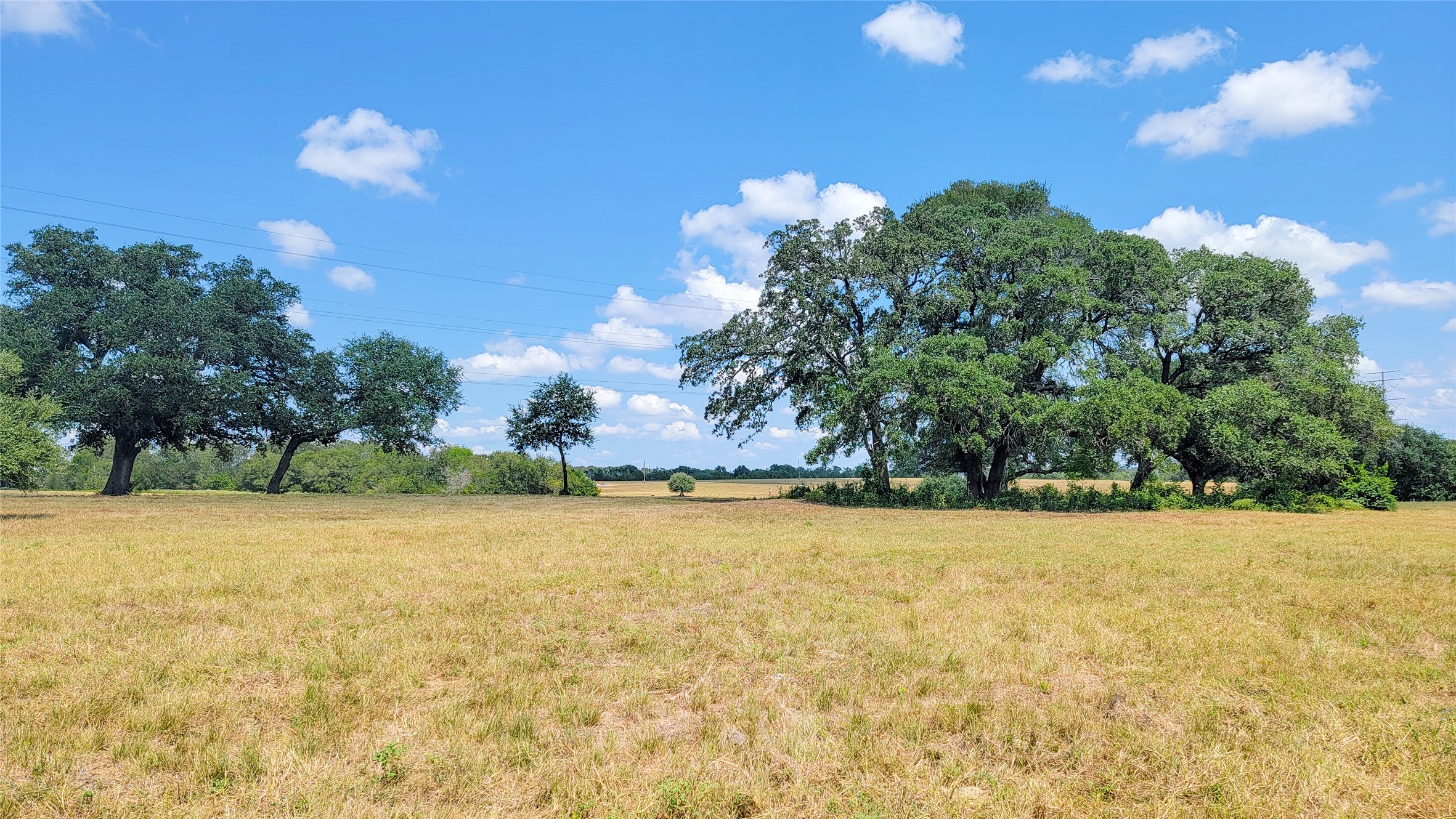 Tract 3 Zetter Road Property Photo 9