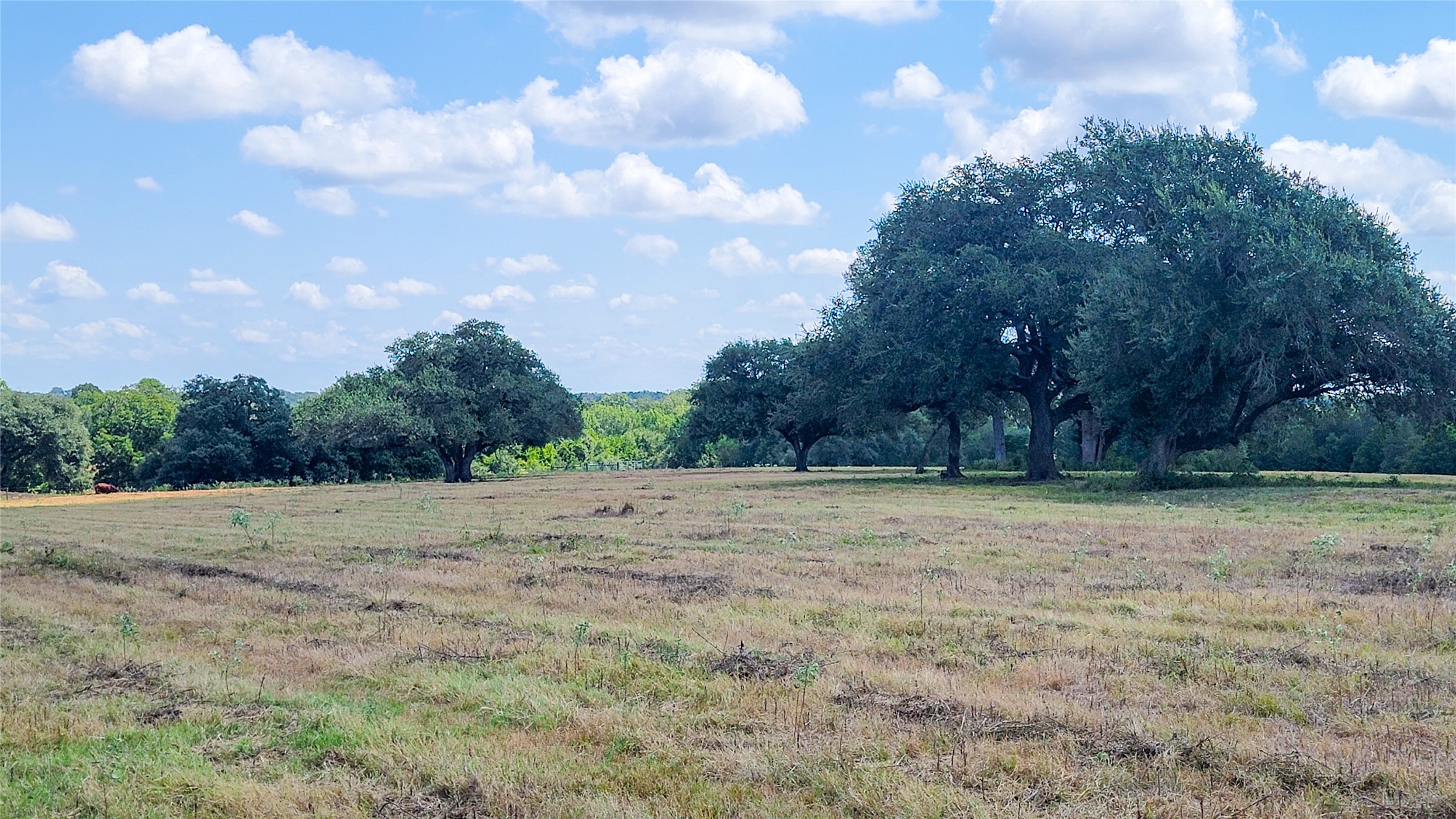 Tract 3 Zetter Road Property Photo 14