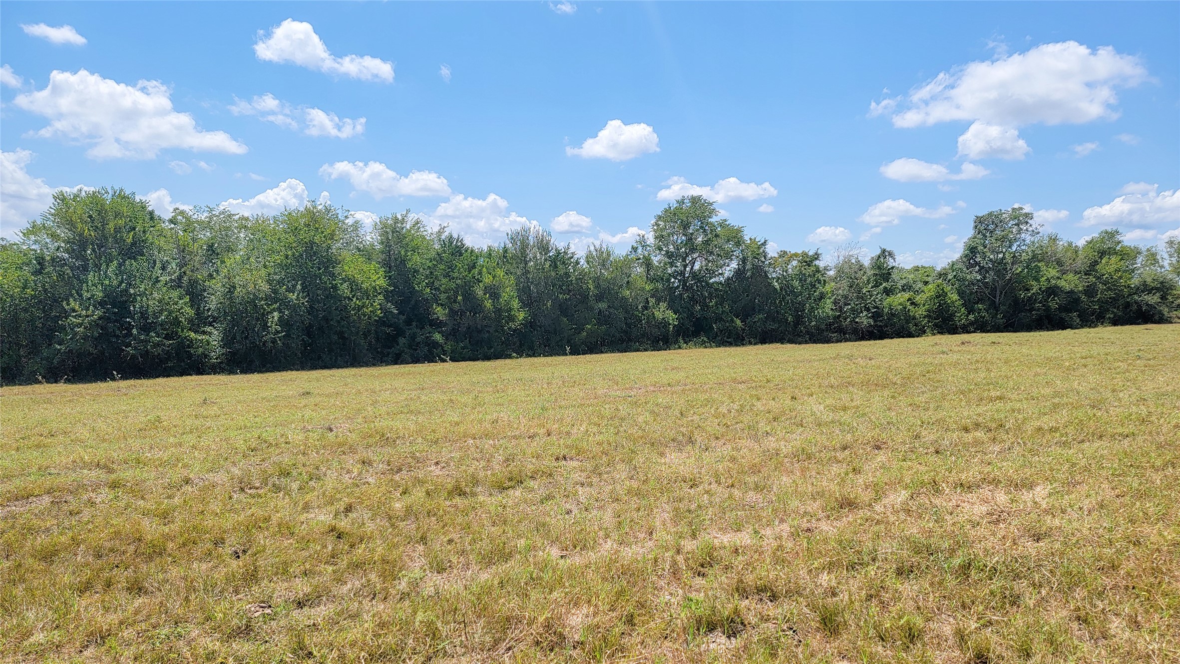 Tract 3 Zetter Road Property Photo 16