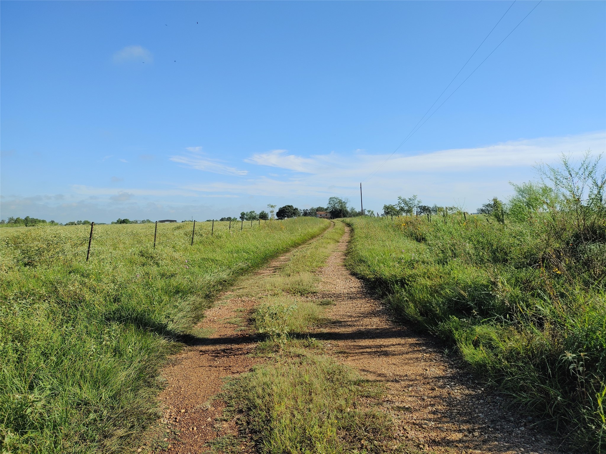 5677 Highway 90 Property Photo 4