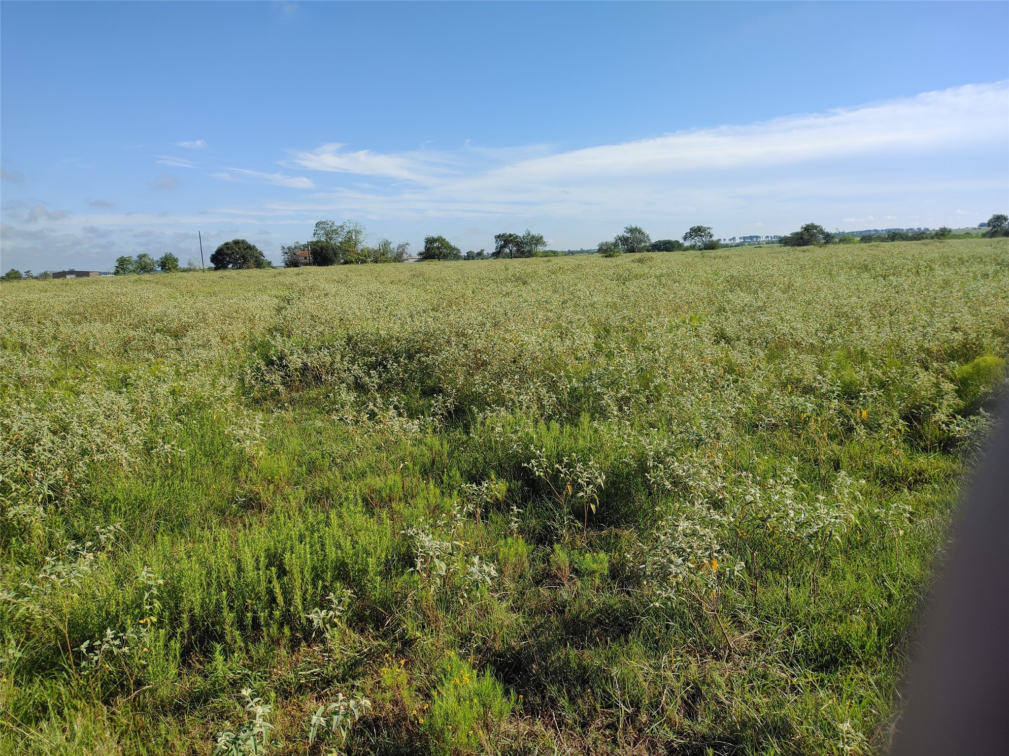 5677 Highway 90 Property Photo 6