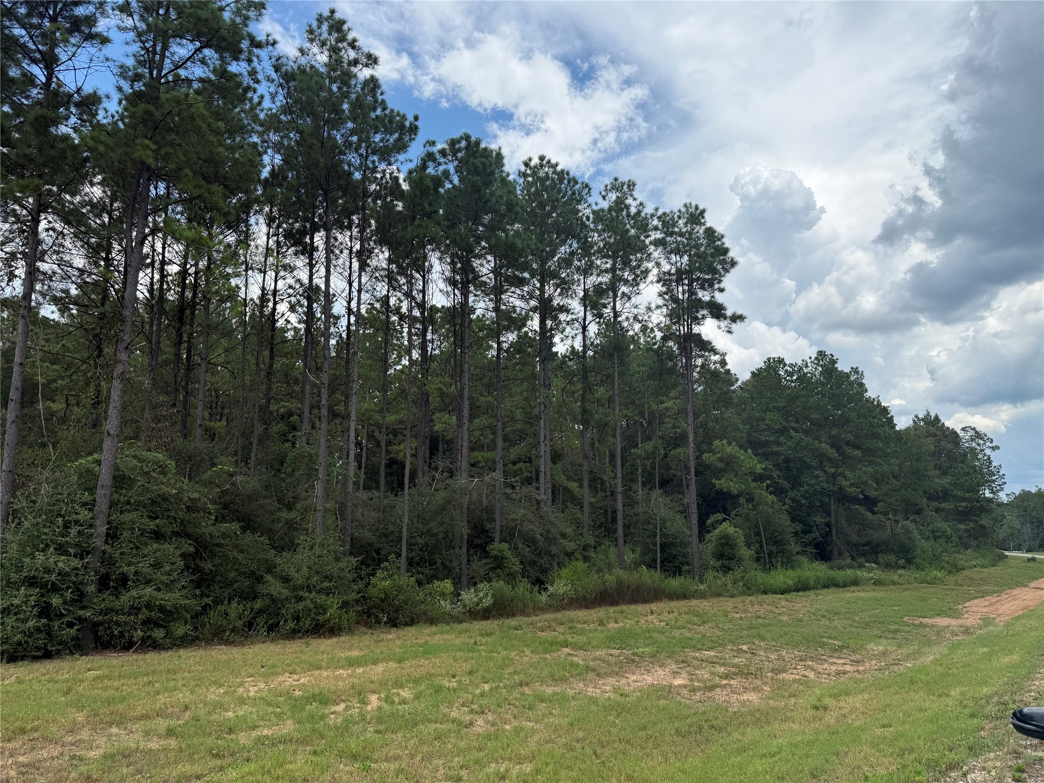 15648 Cricket Creek Court Property Photo 3