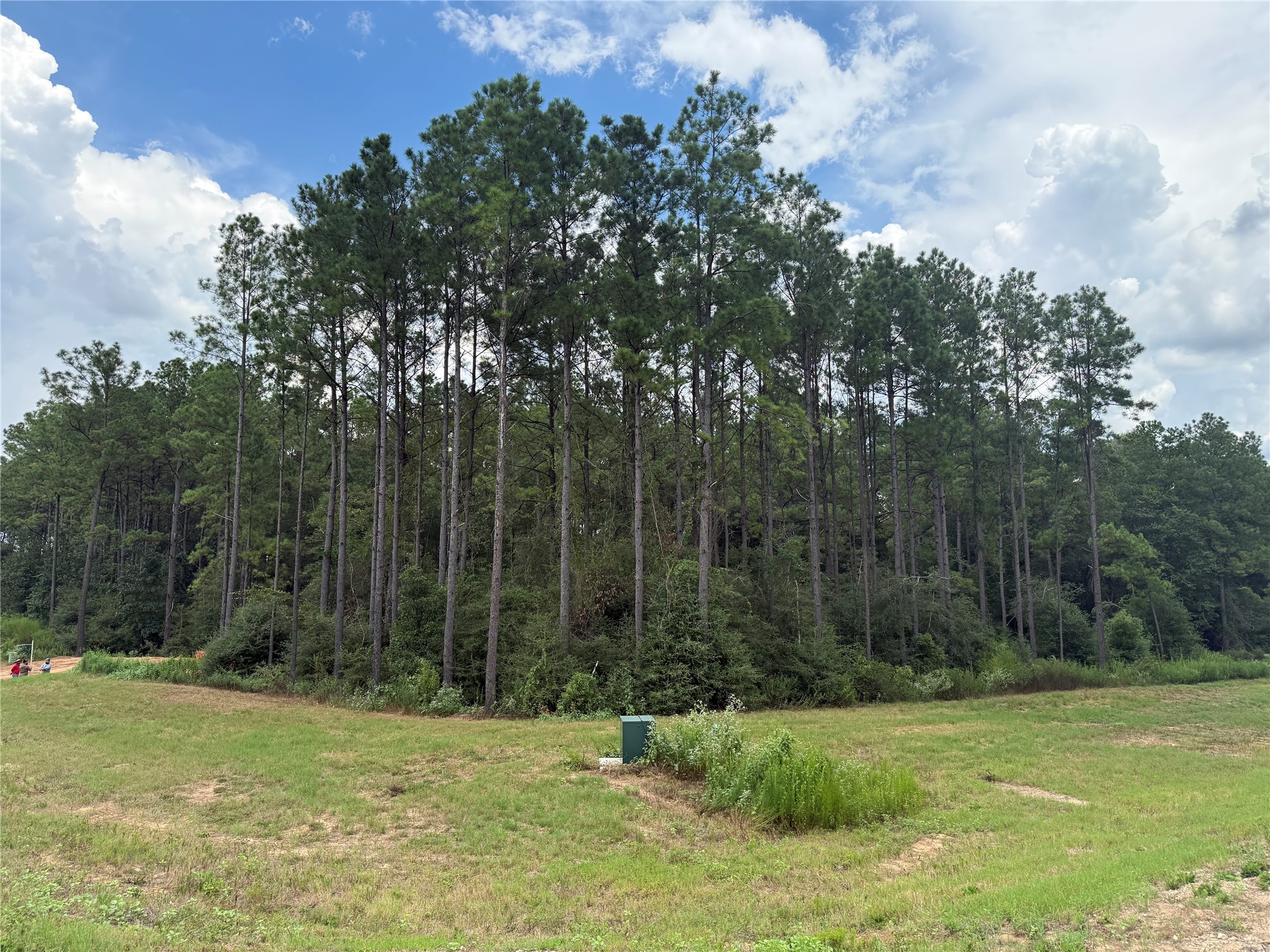 15648 Cricket Creek Court Property Photo 4