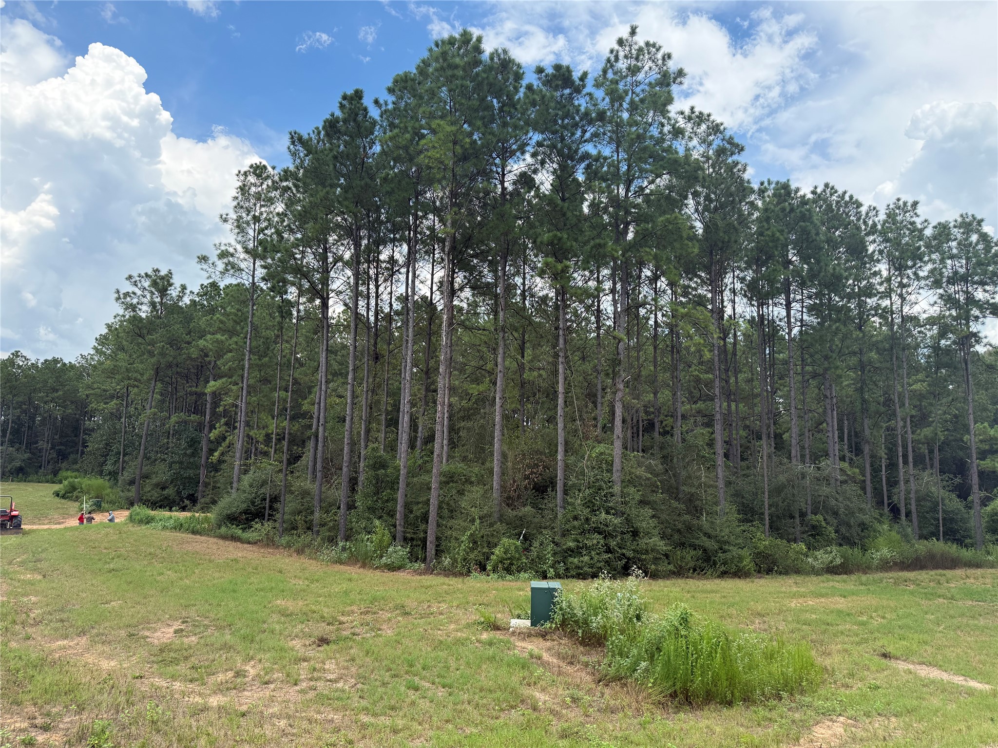 15648 Cricket Creek Court Property Photo 5