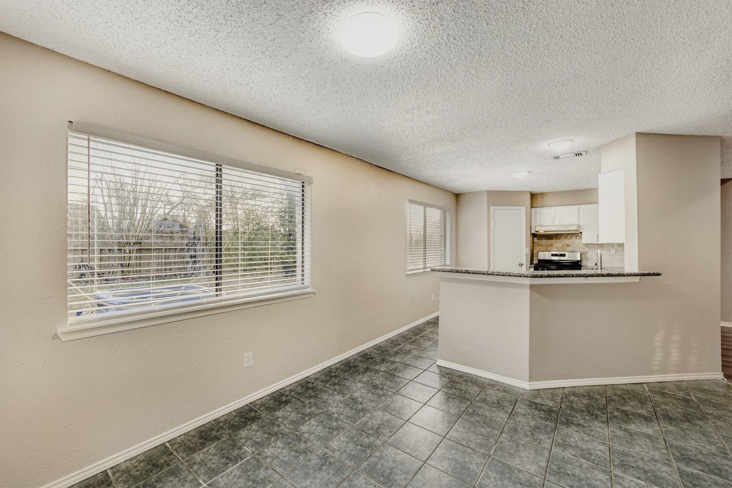 9727 Orangevale Drive Property Photo 8