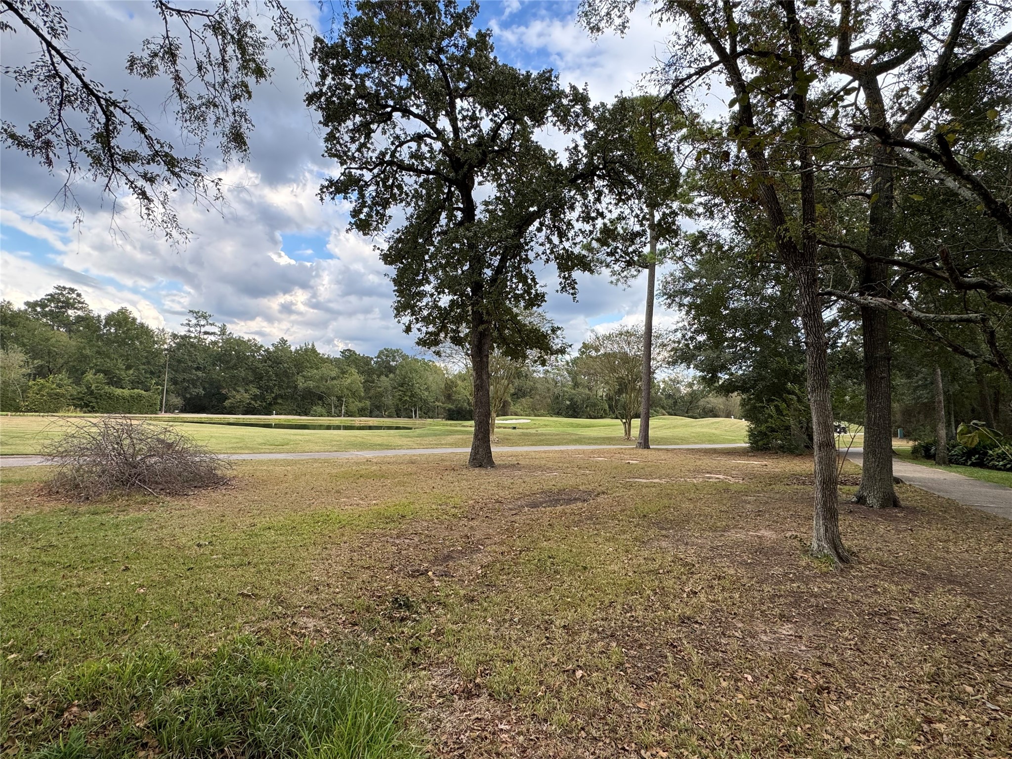 10816 Colony Wood Place Property Photo 12