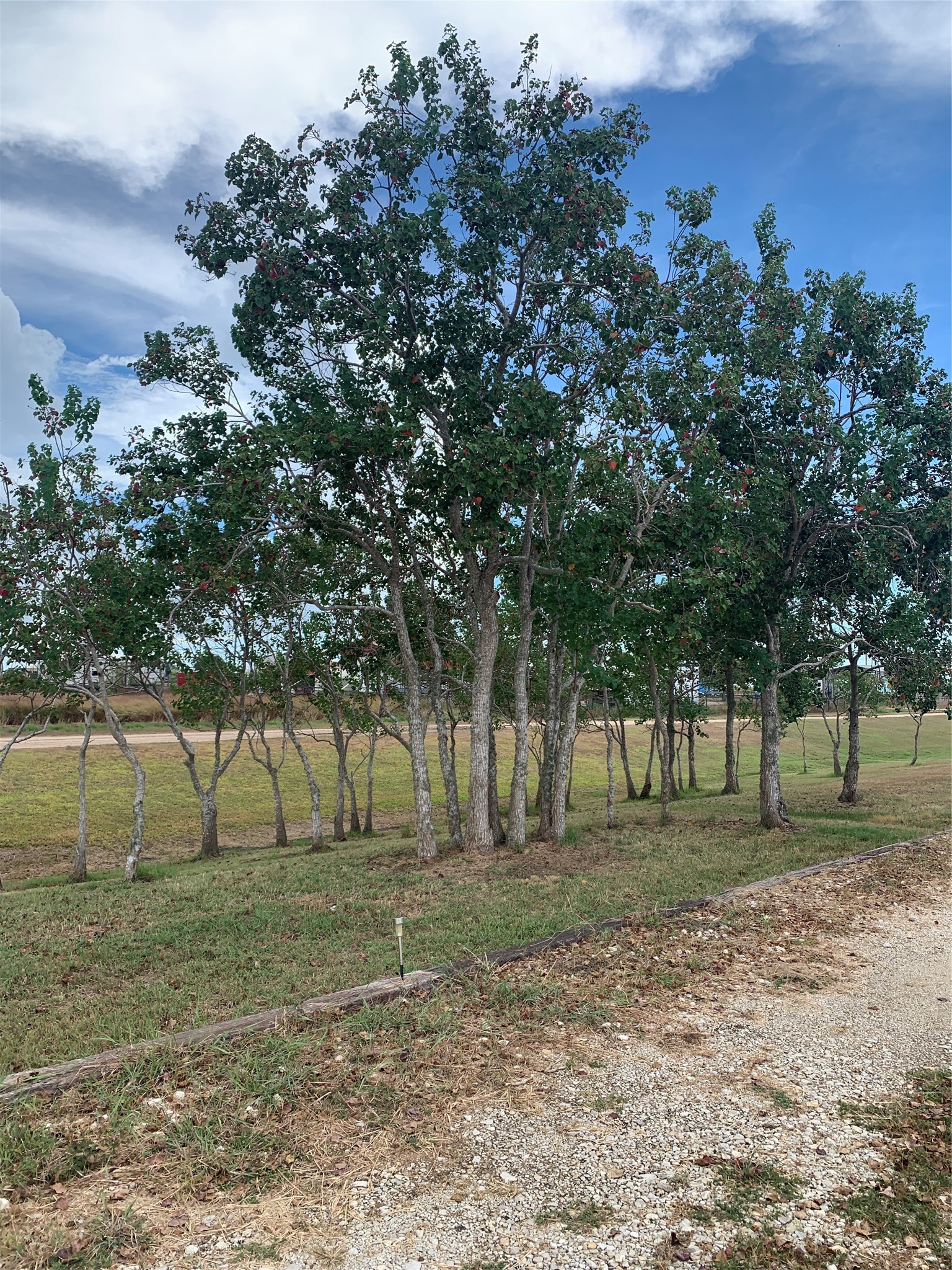 103 Starfish Drive Property Photo 14