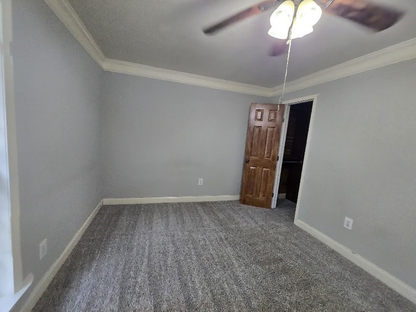 2410 Daffodil Street Property Photo 11