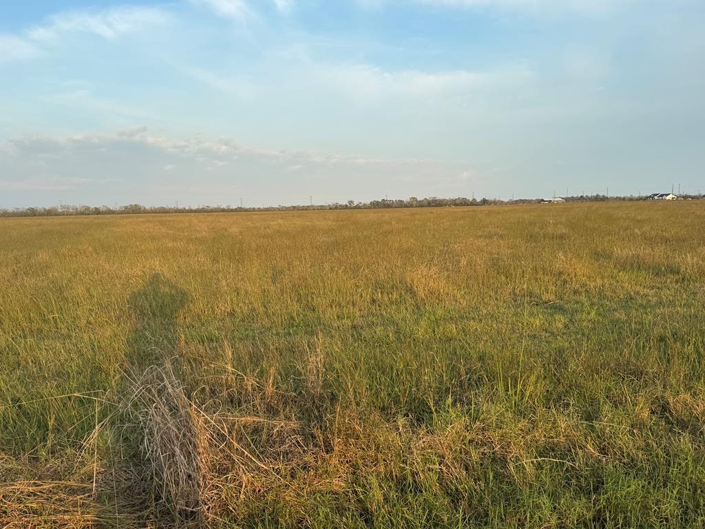 40 Acres County Road 45, Angleton Tx 77515 Property Photo 1