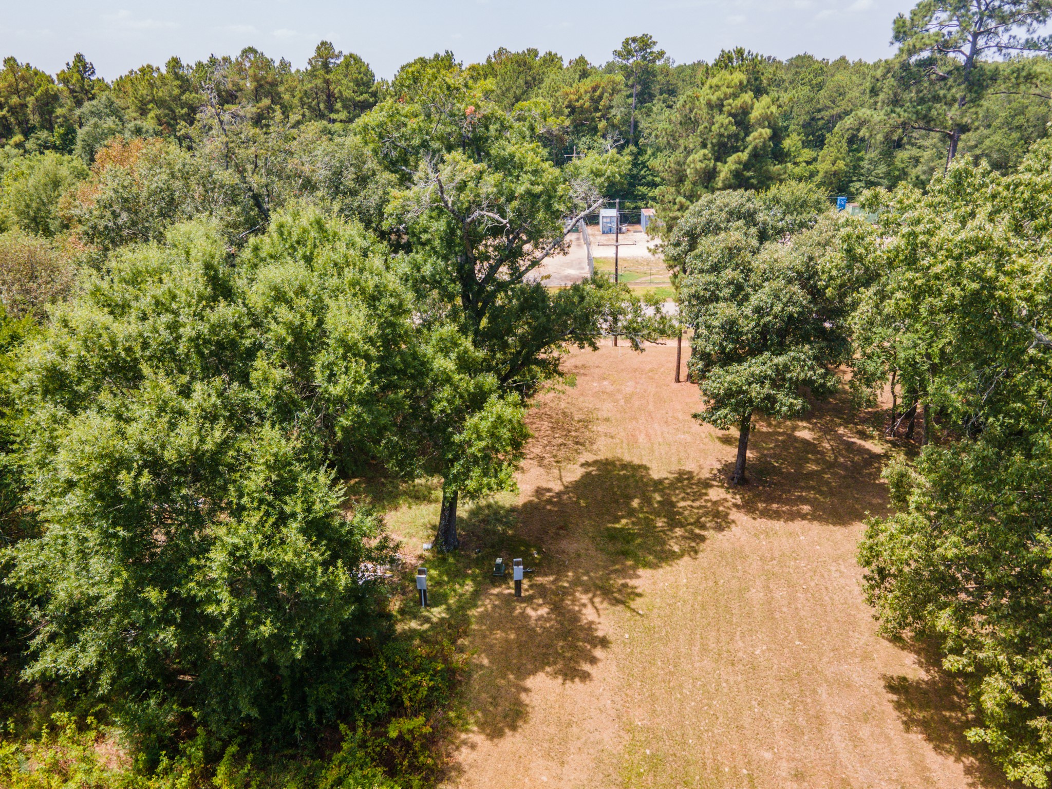 9787 Pozos Lane Property Photo 13