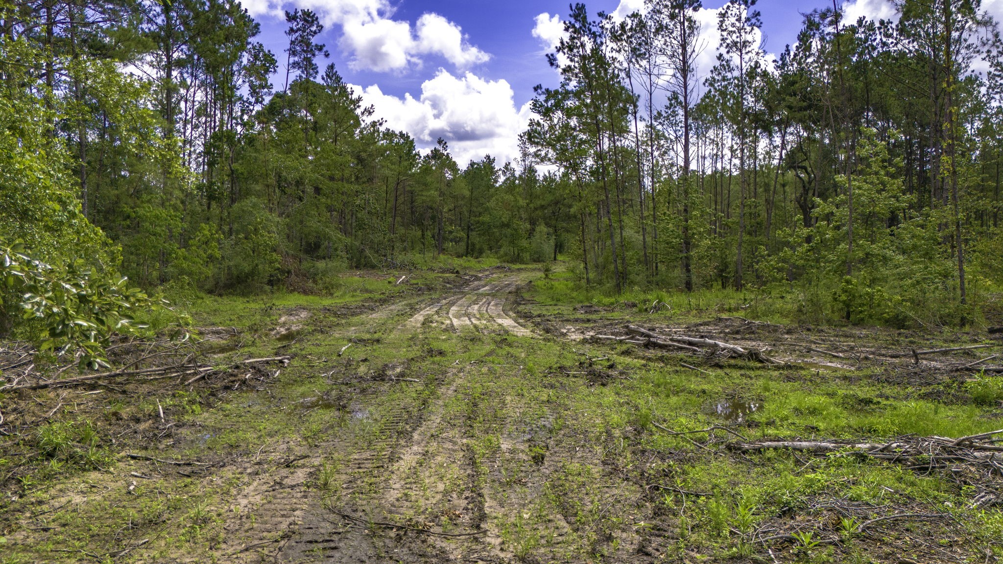 Tbd Lot 001 Holland Road Property Photo 2