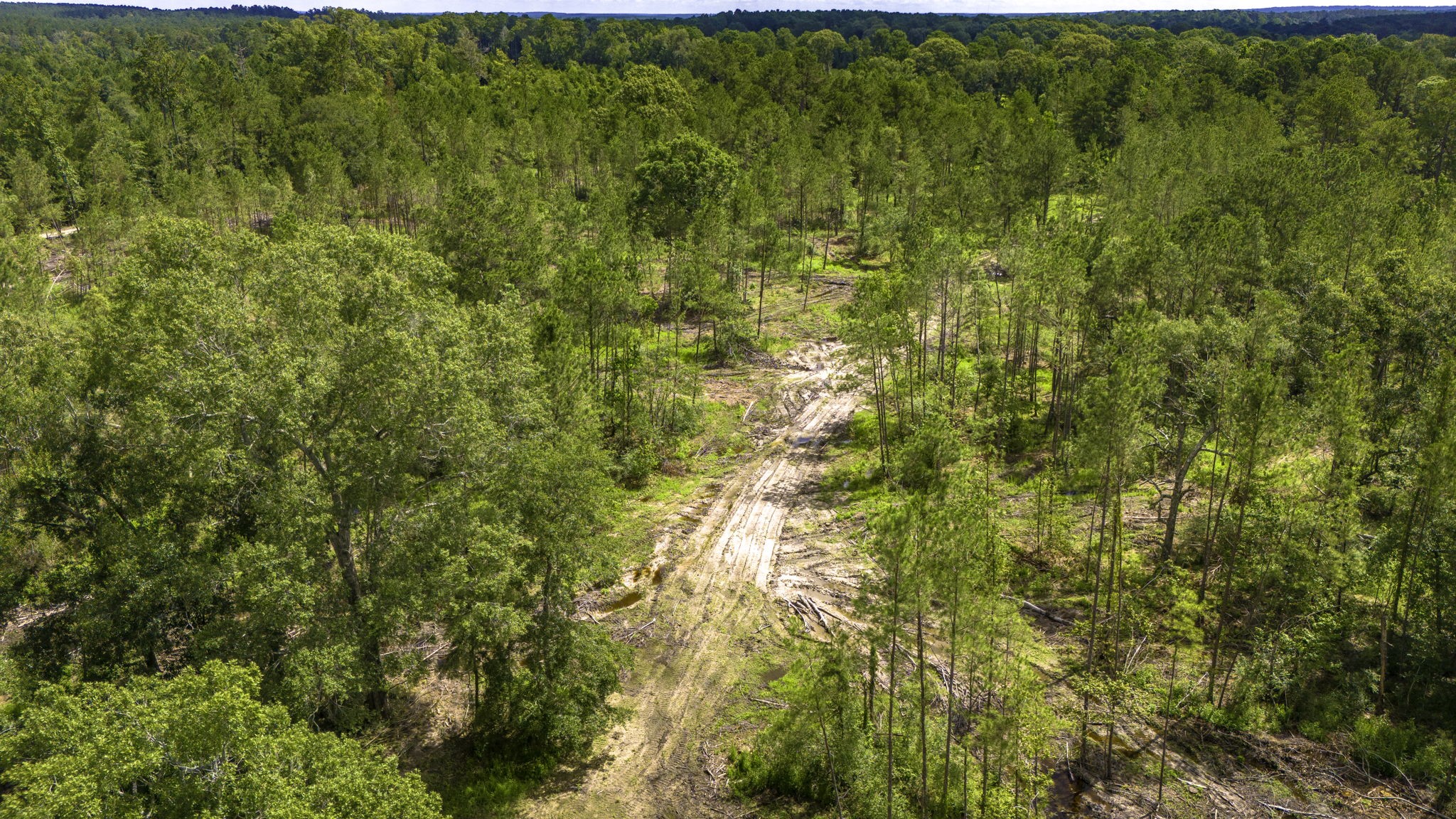 Tbd Lot 001 Holland Road Property Photo 3