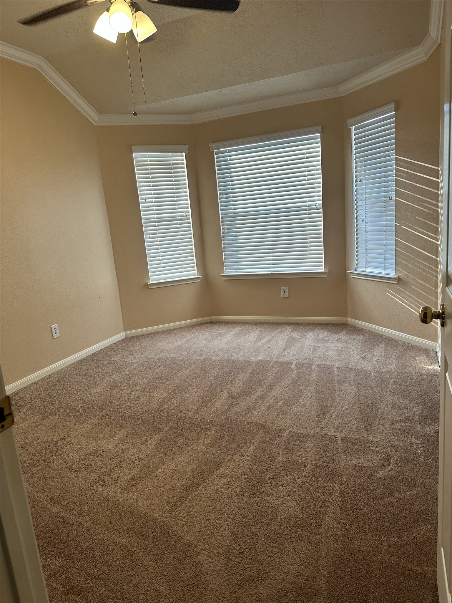 23806 Allingham Ln Property Photo 4