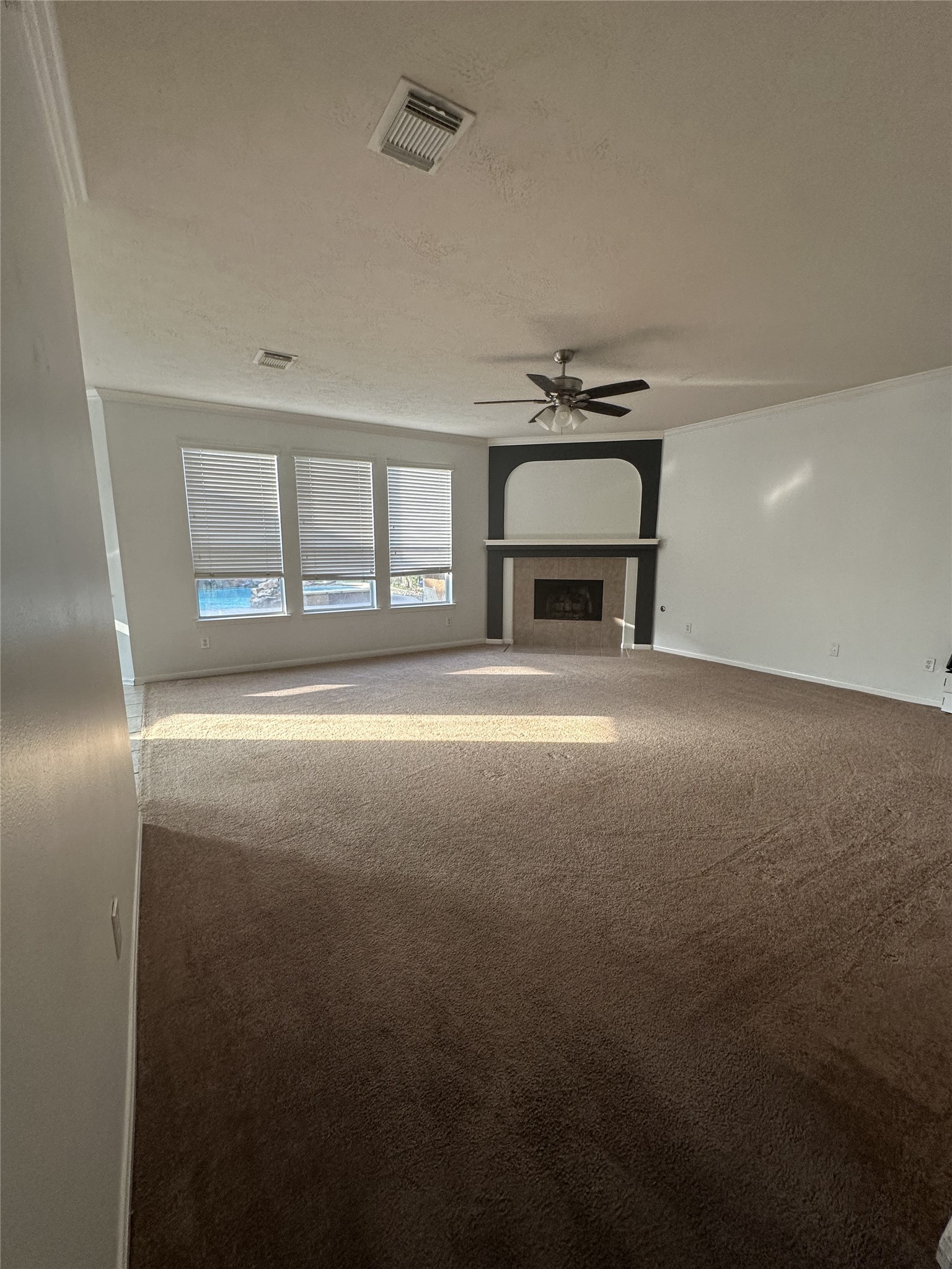 23806 Allingham Ln Property Photo 18