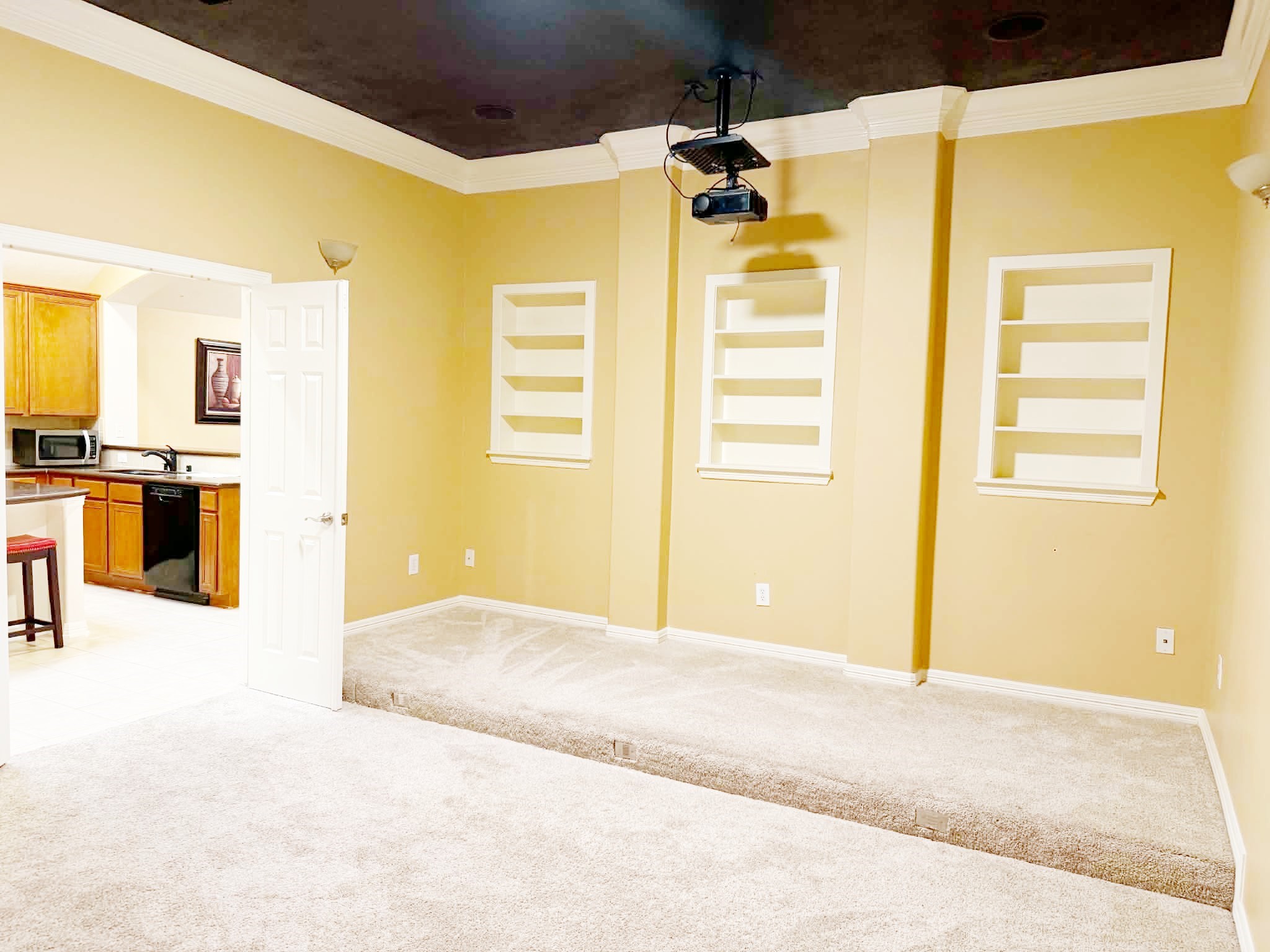 17507 N Riata Lake Drive Property Photo 6