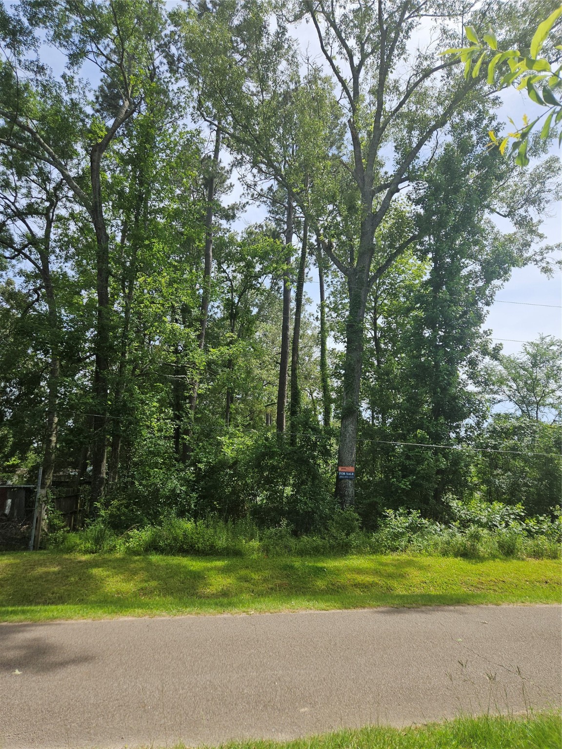 0 Burning Tree Lane Property Photo 6