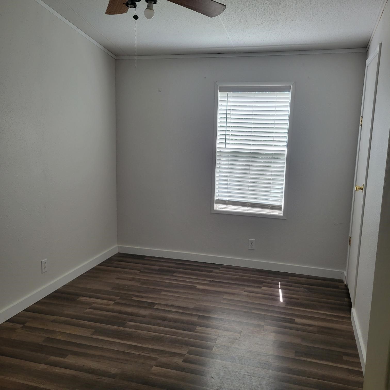 172 Walters Street Property Photo 12