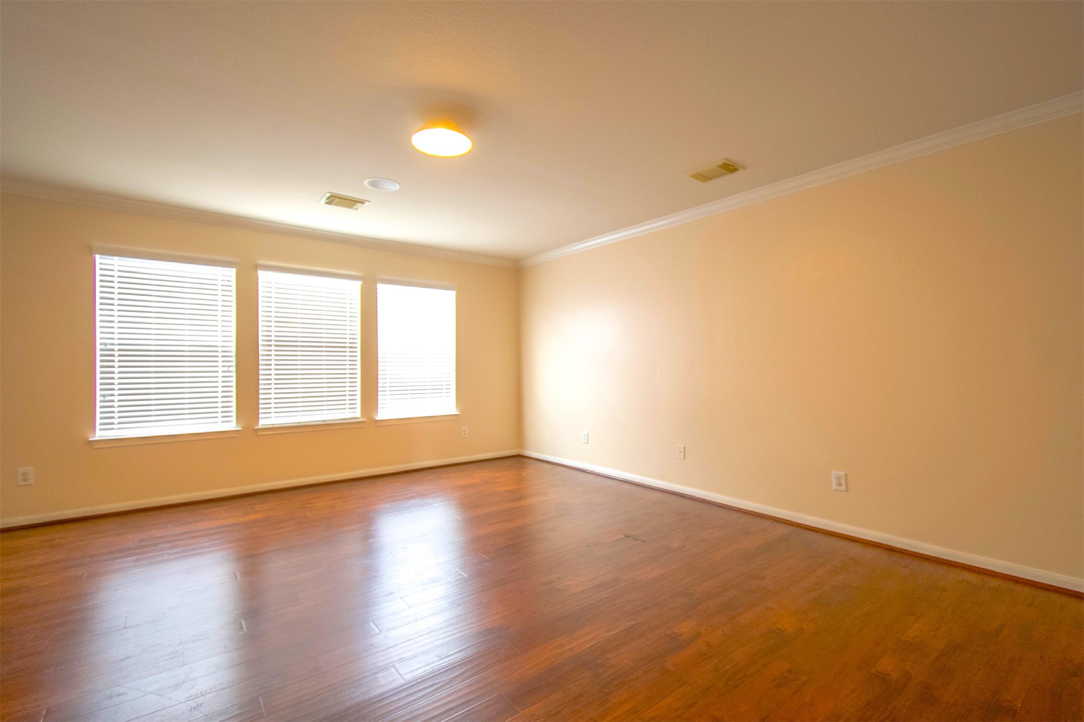 15602 Waumsley Way Property Photo 23