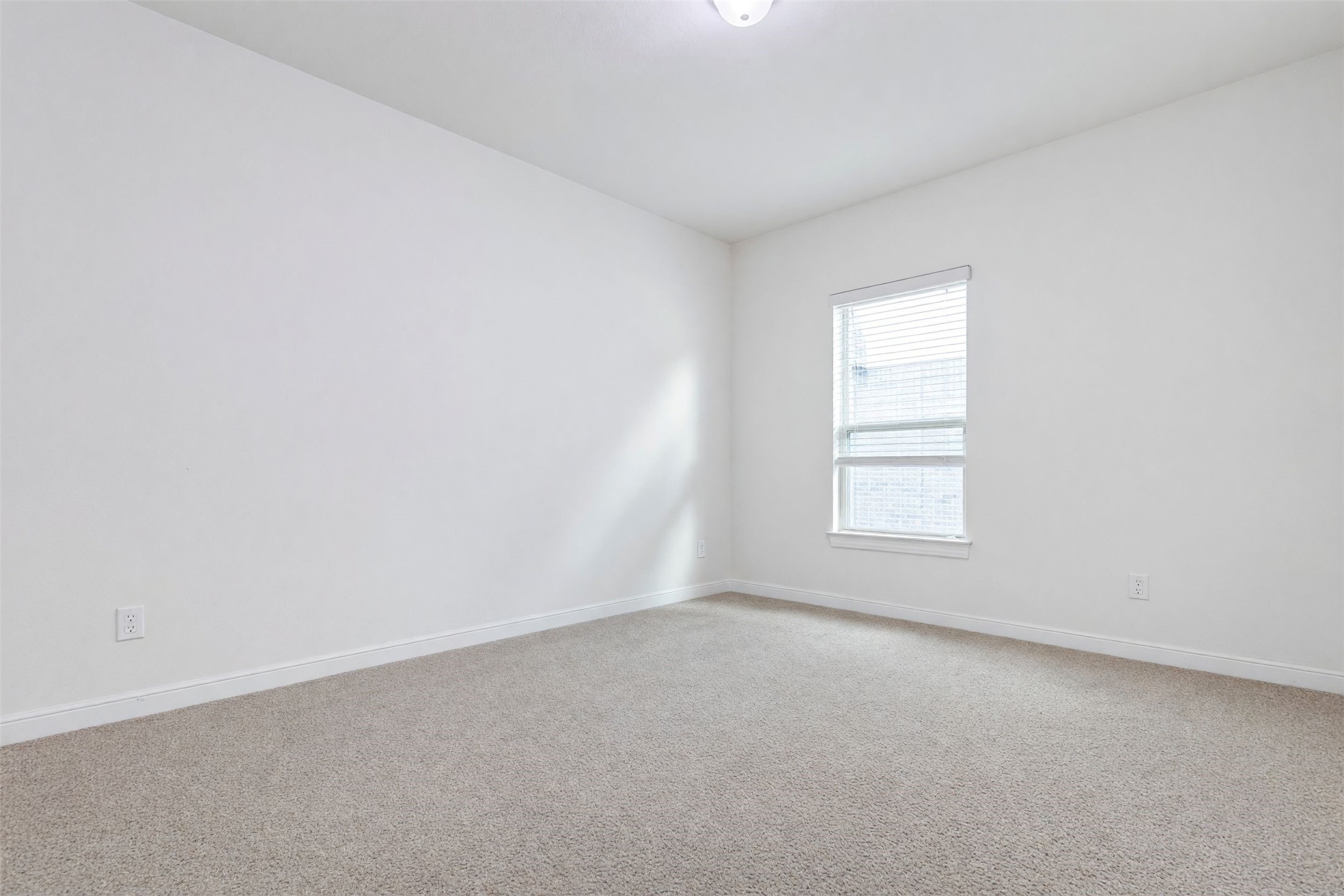 5803 Nowlands Run Lane Property Photo 20