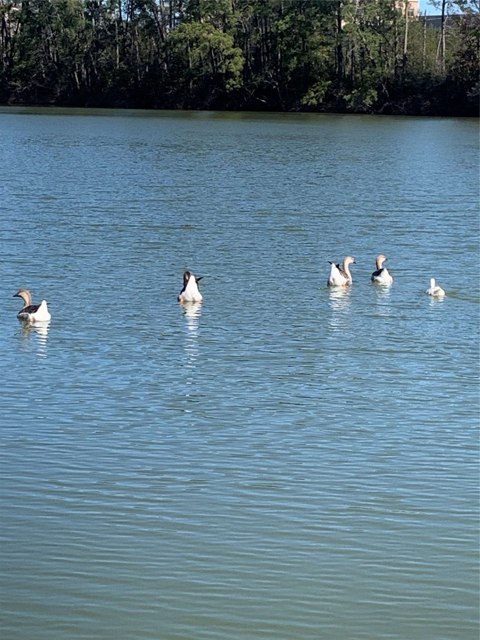 617 White Bass Property Photo 4