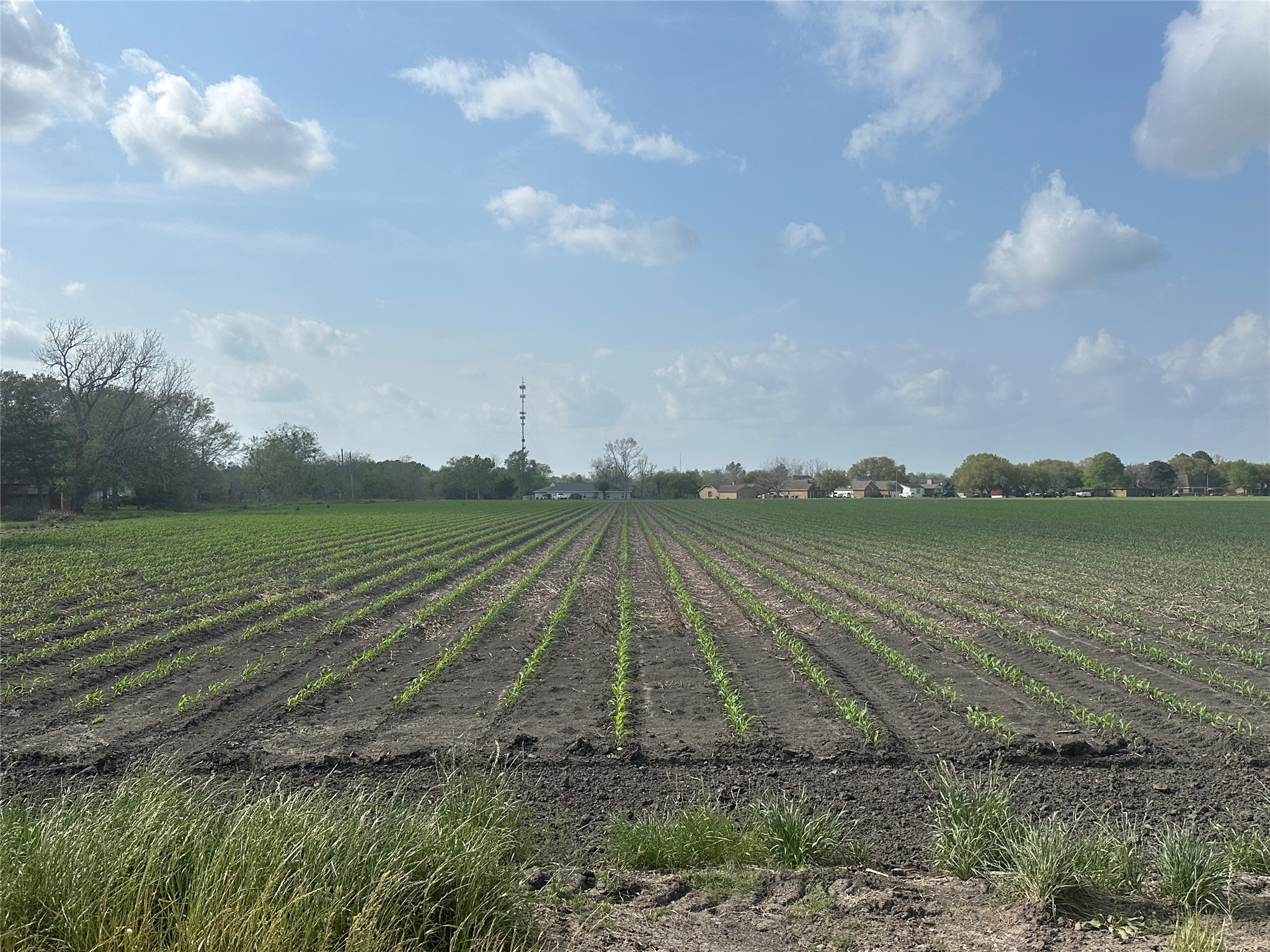Tbd01 Scroggins Road Property Photo