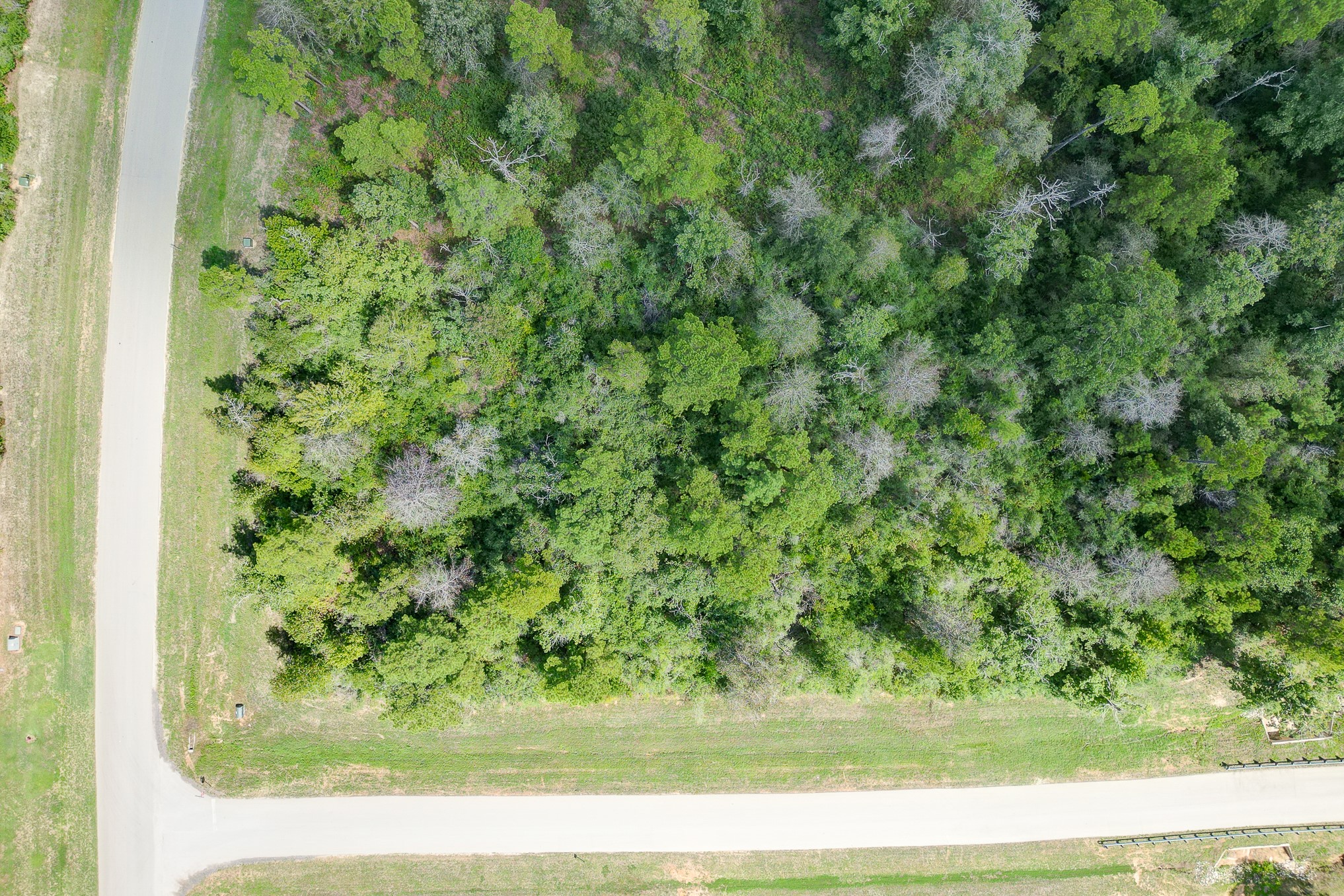 10692 Ruger Road Property Photo 16
