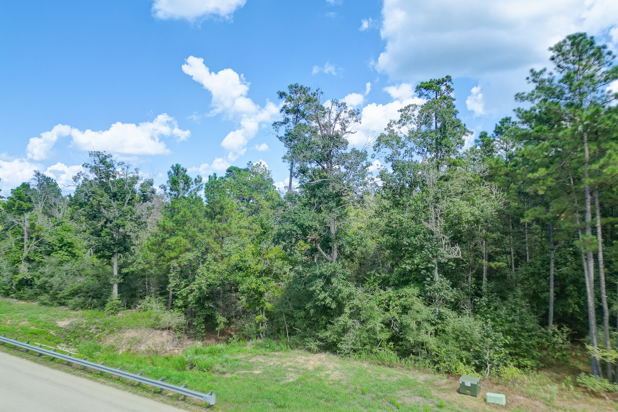 10692 Ruger Road Property Photo 23