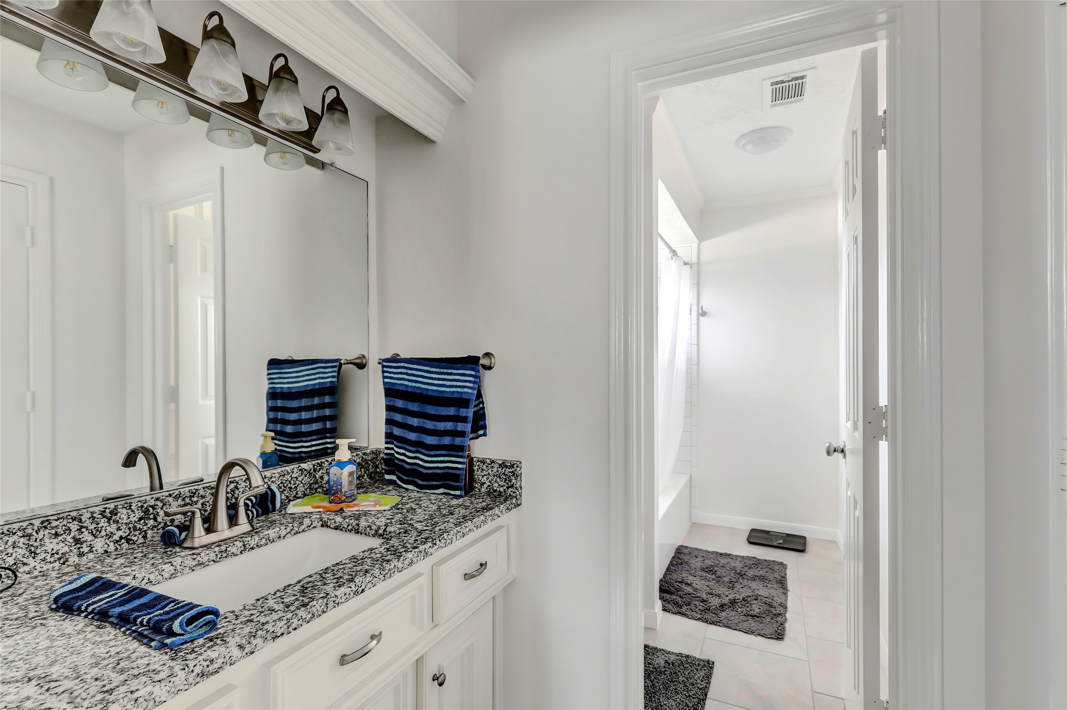 2106 Mountain Lake Drive Property Photo 42
