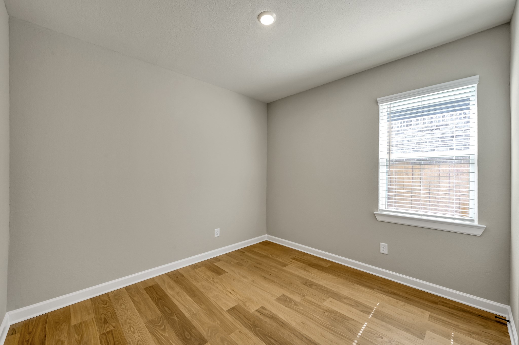 23110 Dadi Orchid Drive Property Photo 27