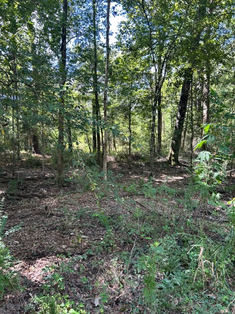 0 County Road 3812 Property Photo 10