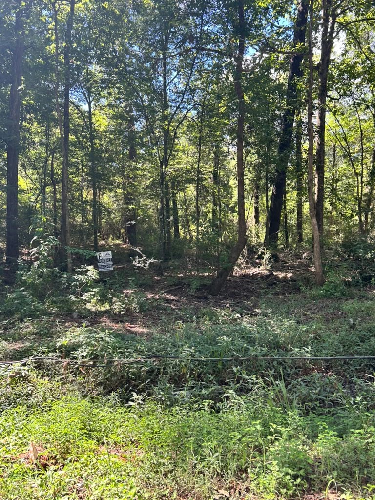 0 County Road 3812 Property Photo 11