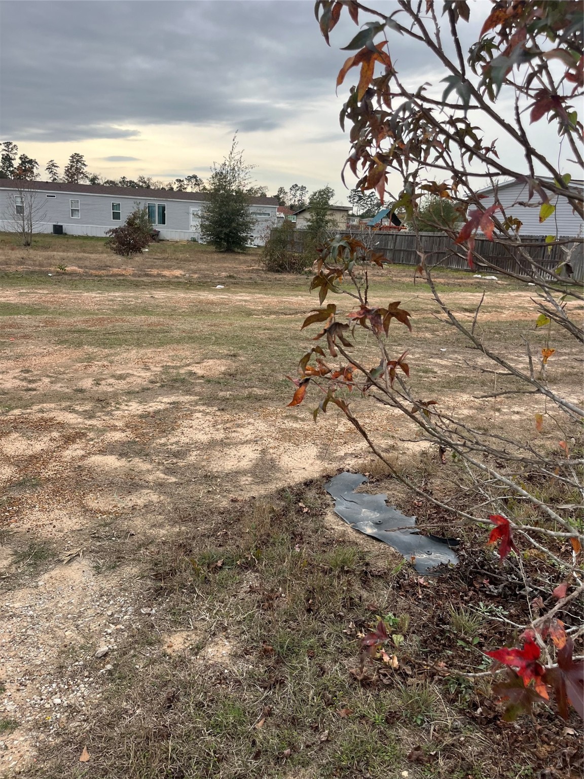 17608 Old Highway 105 E Property Photo 2