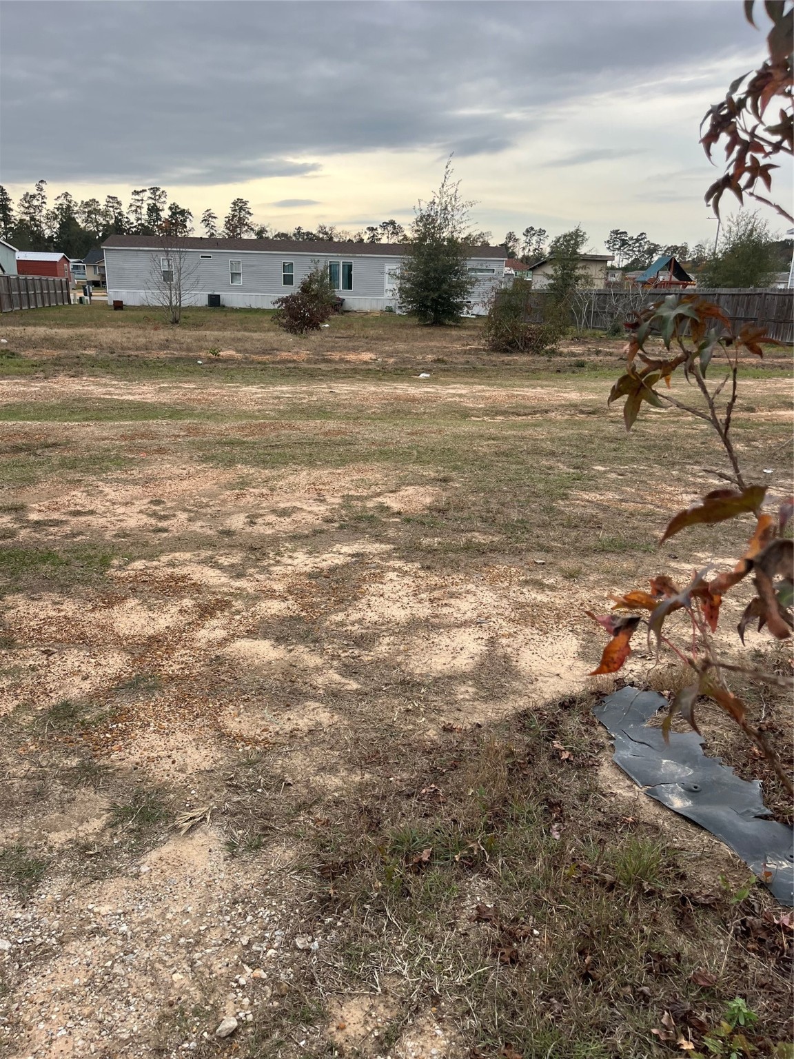 17608 Old Highway 105 E Property Photo 6