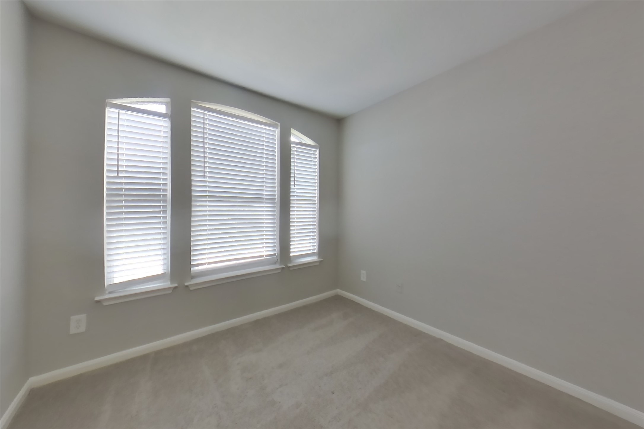 7314 Legacy Pines Drive Property Photo 11