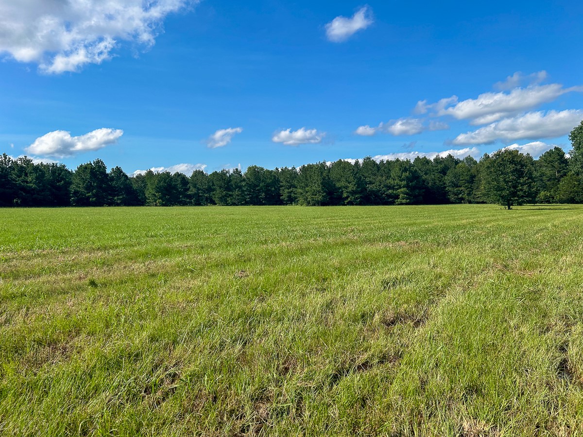 2 Highway 7 West Property Photo 1