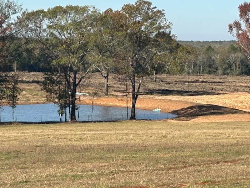 2 Highway 7 West Property Photo 8
