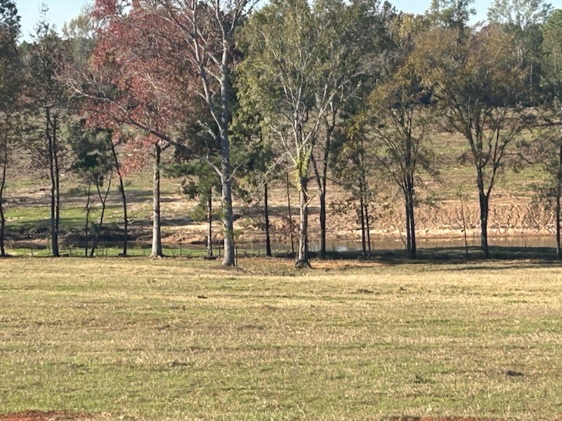 2 Highway 7 West Property Photo 10