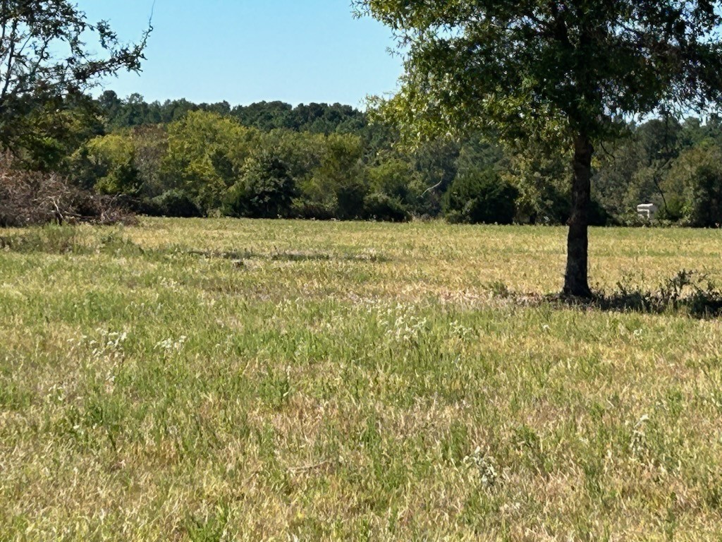 2 Highway 7 West Property Photo 14
