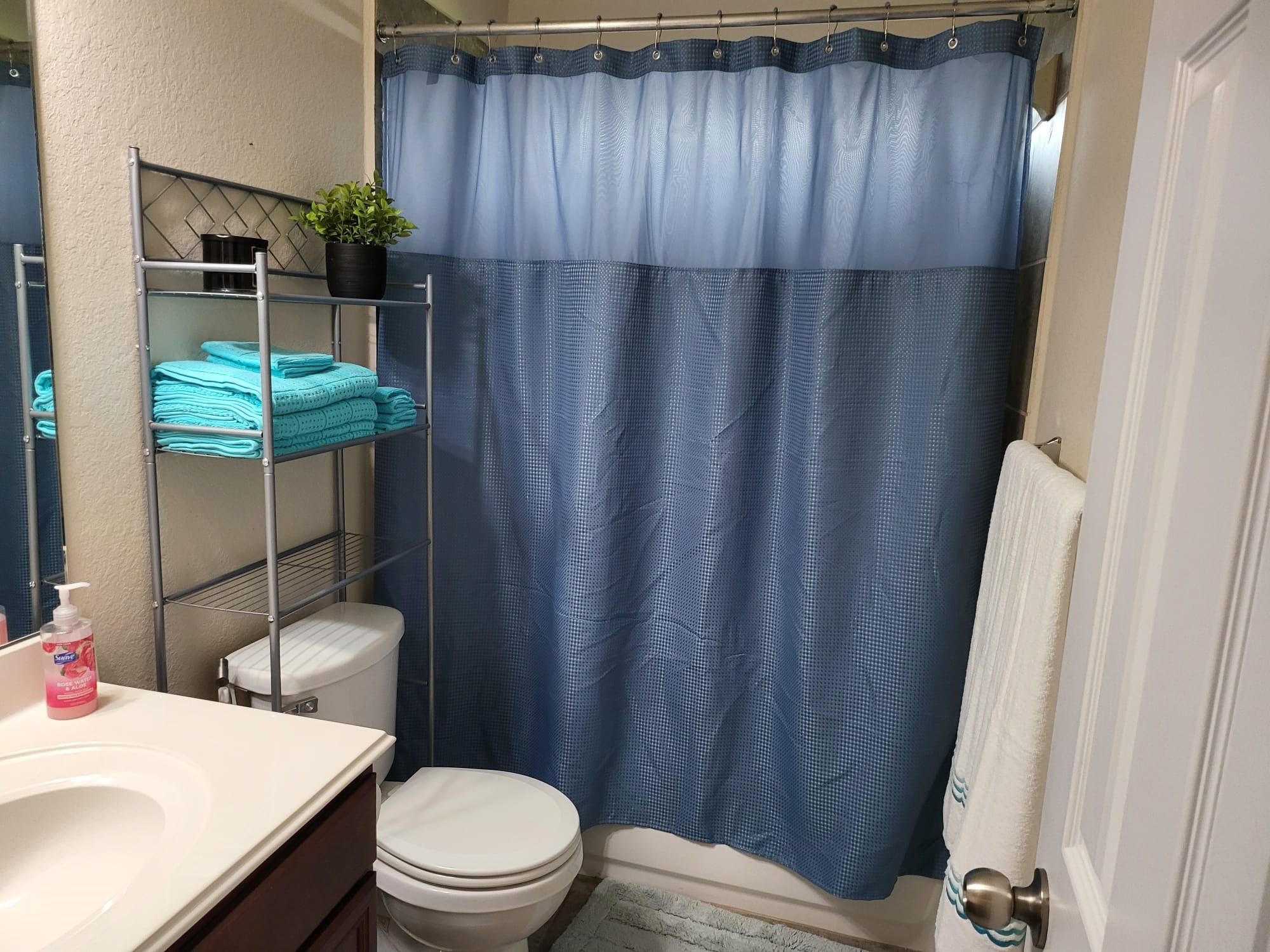 10739 Chestnut Path Way Property Photo 9