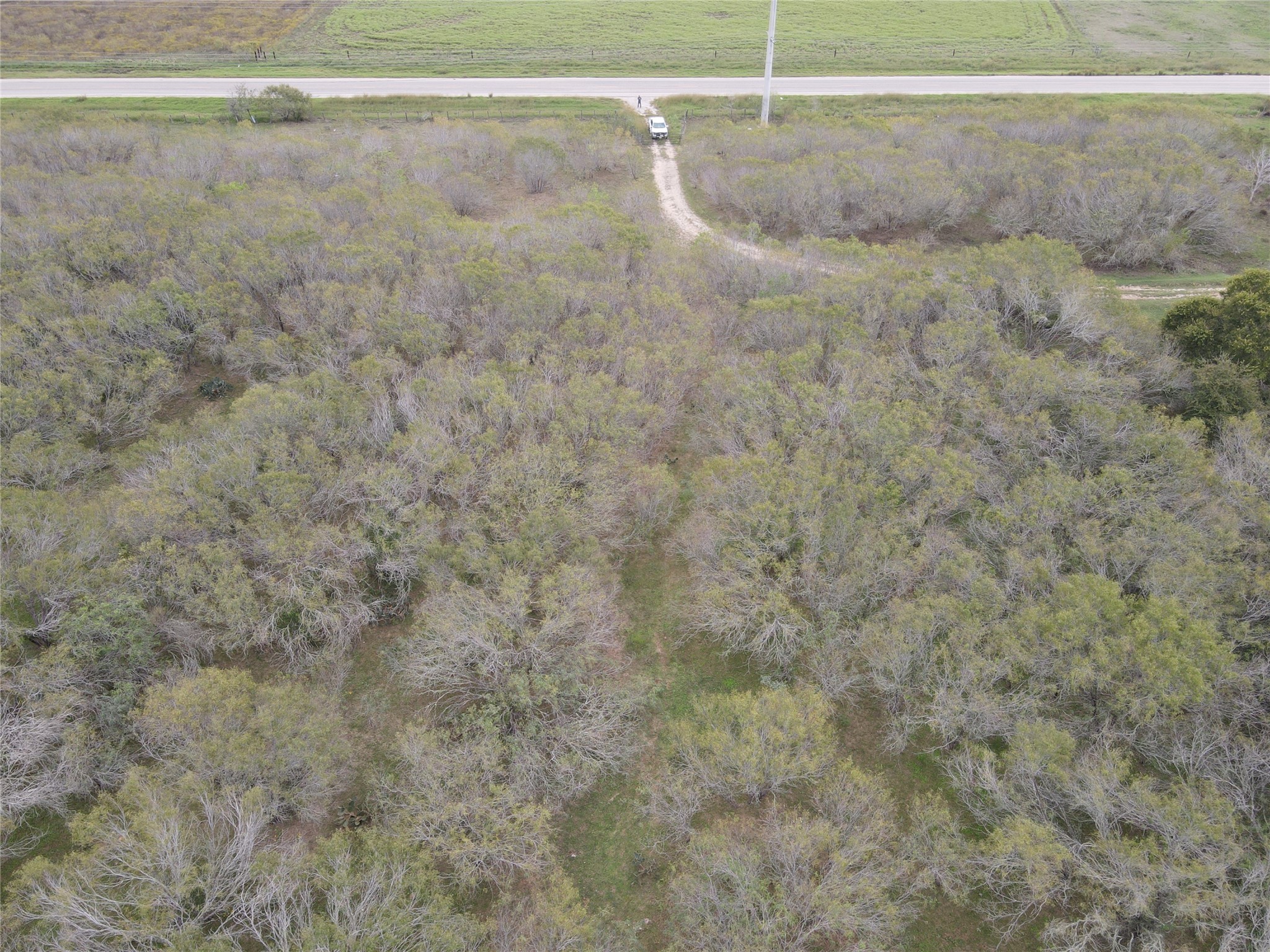 0 Fm 1117 Property Photo 9