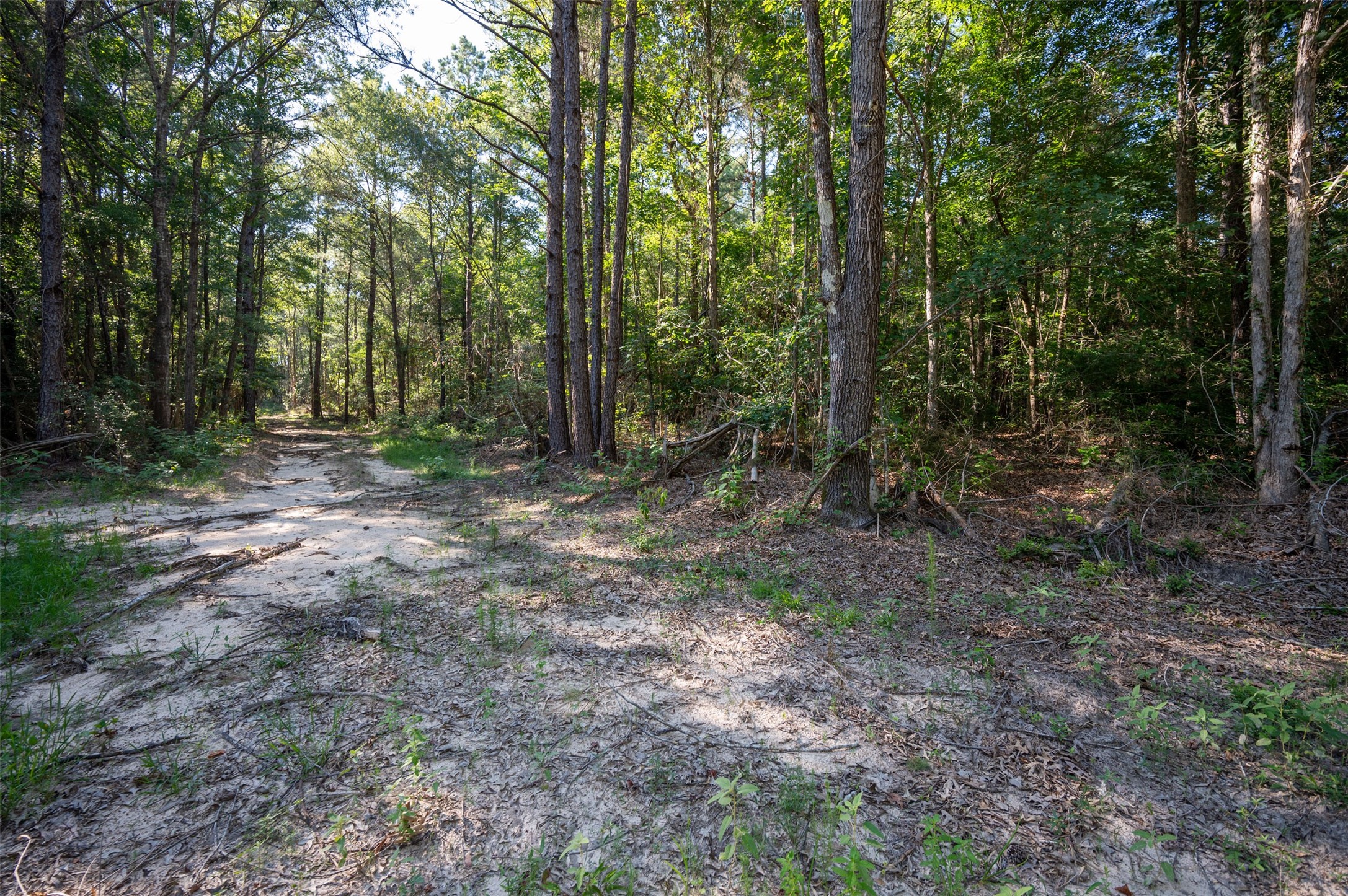 Tbd Co Rd 3000 Property Photo