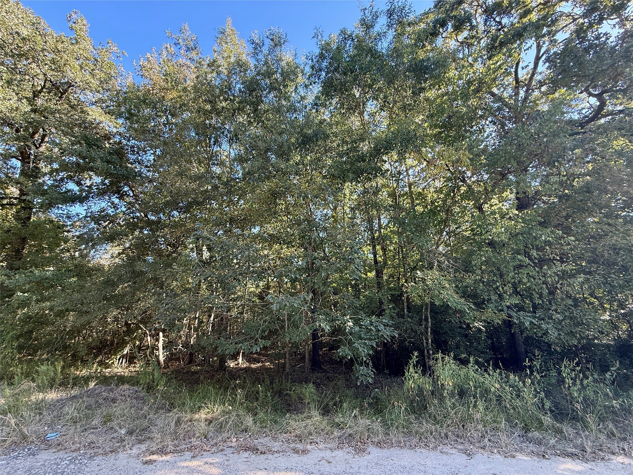 N/a Lot 87 Tomahawk Trail Property Photo 2