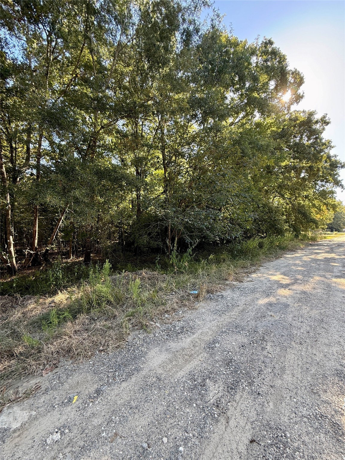 N/a Lot 87 Tomahawk Trail Property Photo 3